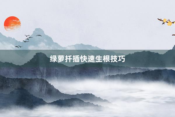 绿萝扦插快速生根技巧