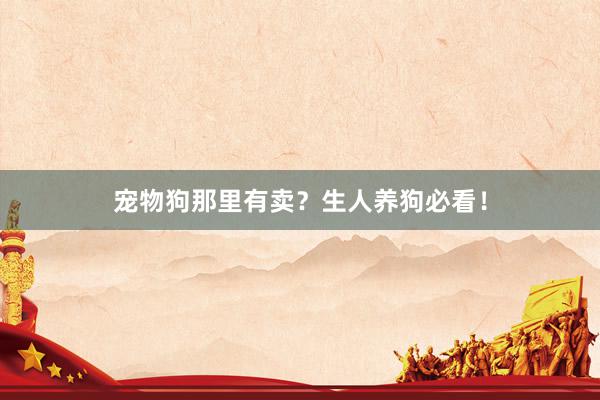 宠物狗那里有卖？生人养狗必看！