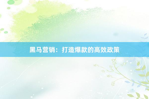 黑马营销：打造爆款的高效政策